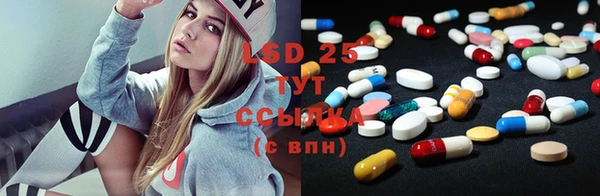 PSILOCYBIN Приозерск