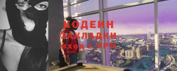 ПСИЛОЦИБИНОВЫЕ ГРИБЫ Абаза