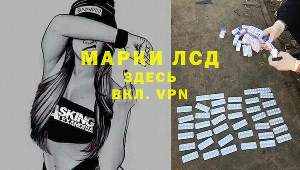 PSILOCYBIN Приозерск