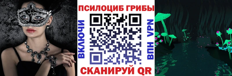 OMG tor  Старый Крым  Галлюциногенные грибы Magic Shrooms 